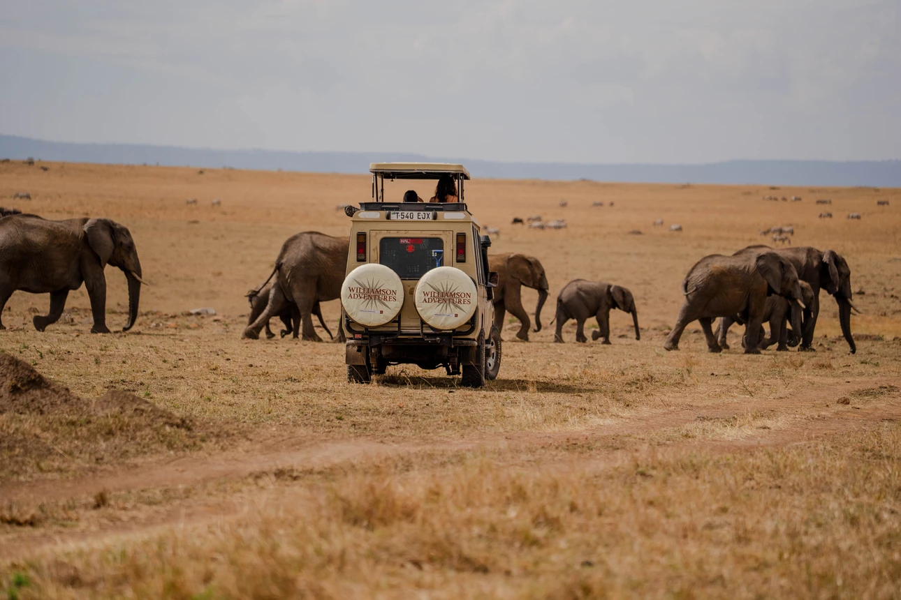 Big 5 Wildlife Safaris