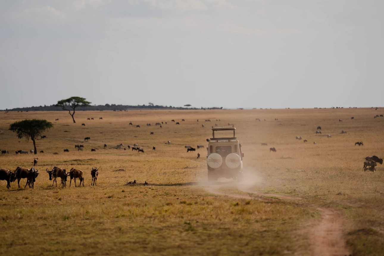 Luxury Tanzania Safari